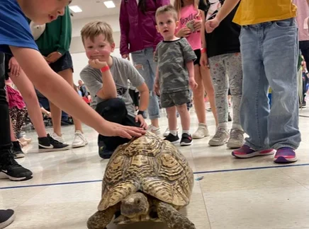 children and adults interacting with a tortoise