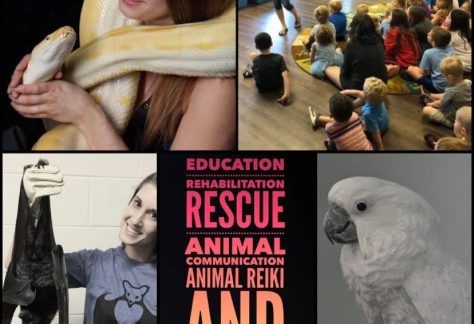 images from Kingdom Animalia Exotic Animal Rescue's Facebook profile3, including a snake, bat, cockatoo & kids enjoying them