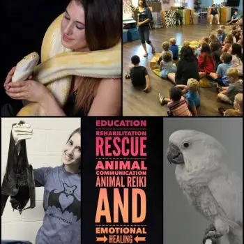 images from Kingdom Animalia Exotic Animal Rescue's Facebook profile3, including a snake, bat, cockatoo & kids enjoying them